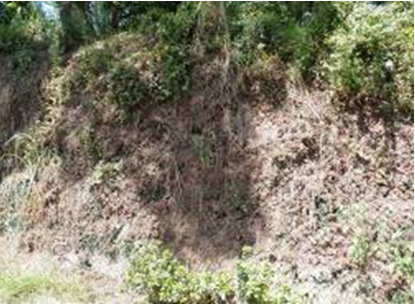 人工邊坡有變形情事