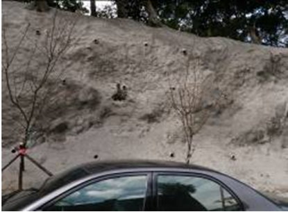 重新設置擋土牆與打設排水管