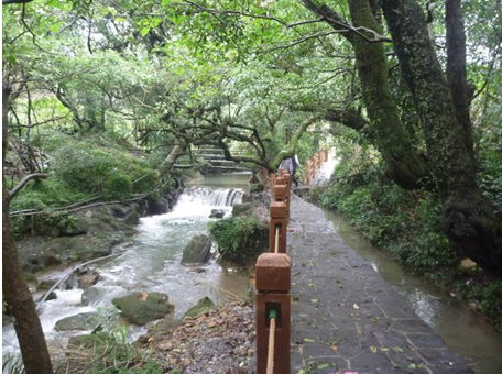 北投竹子湖道路-照片3