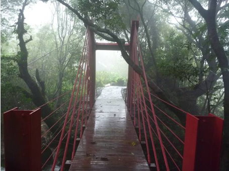 北投竹子湖道路-照片4