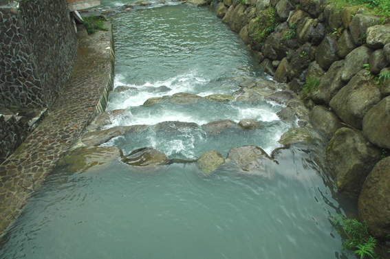 20110621南港四分溪親水踏青兩相宜圖3