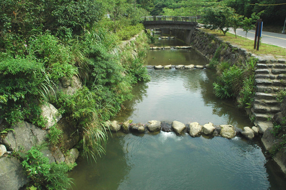 20110621南港四分溪親水踏青兩相宜圖3