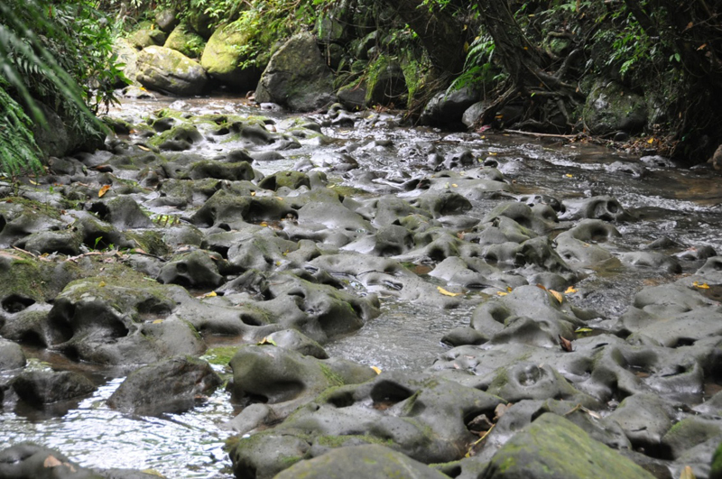 貓空健康步道 體驗環保回收概念05