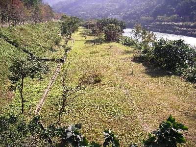 一號橋旁草帶照片（97年）