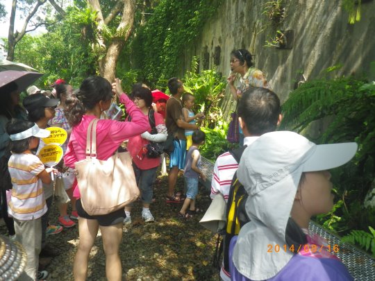 Participants visiting outdoor floras and faunas
