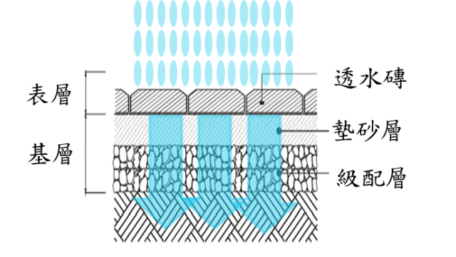 透水鋪面示意圖