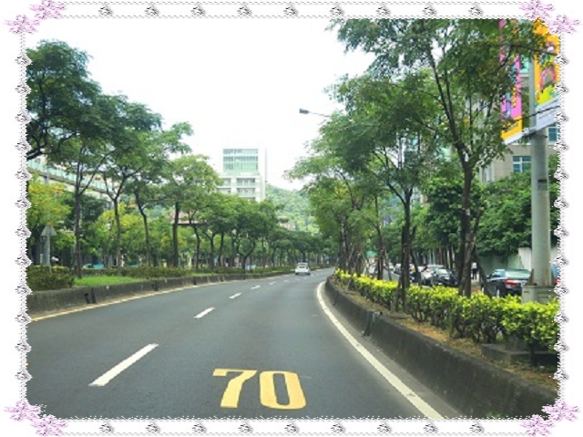 堤頂大道二段(港墘路至內湖路)