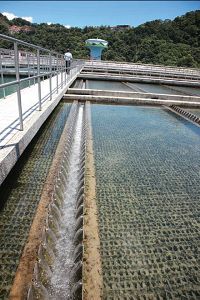 經過膠凝的過程,在沉澱池出水的水質,已經明顯清澈乾淨。