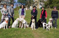 Tianmu, A Walker’s Paradise for Pets