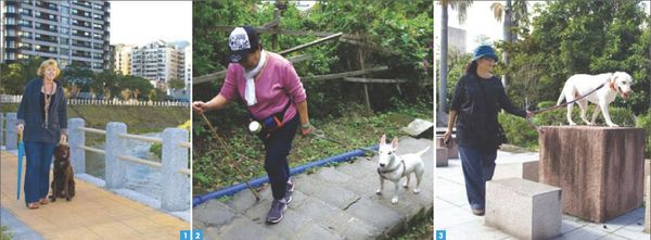 2. Previously a way to practice for mountain climbing, rock climbing has now emerged as a competitive sport in its own right,engaged in worldwide. 2. Previously a way to practice for mountain climbing, rock climbing has now emerged as a competitive sport in its own right,engaged in worldwide.