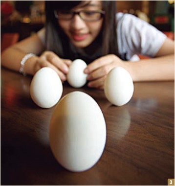 3. If at high noon, you can stand an egg upright, you are guaranteed good luck in the coming year.