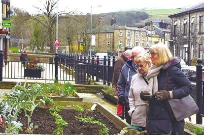 In 2008, Todmorden began promoting community farming. It has designed a greenbelt along which people can pick the fruits and vegetables that they need free of charge.