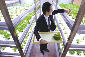 The Japanese human-resources firm PASONA has brought farming into an office-building setting.