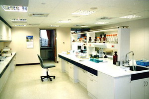 肝炎實驗室
