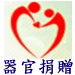 器官捐贈連結