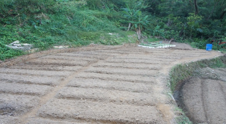 閒置農地活化(松山地區)