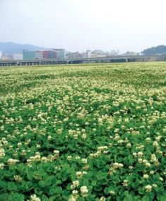 Guanshan Riverside Park