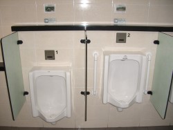 Toilet Facilities for Disabled and Elderly Passengers