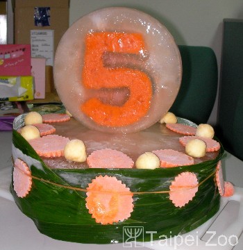 Giant Panda Yuan Yuan’s birthday cake celebrating her fifth birthday