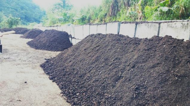 ◎堆肥會逐漸由綠色轉為黑色，約4個月的製程就能點糞成金。