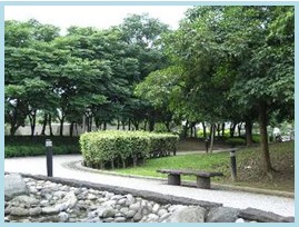 松山區第二期重劃後，市民廣場綠地，提供民眾散步休閒好去處