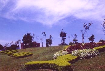 flower decorations on the slope