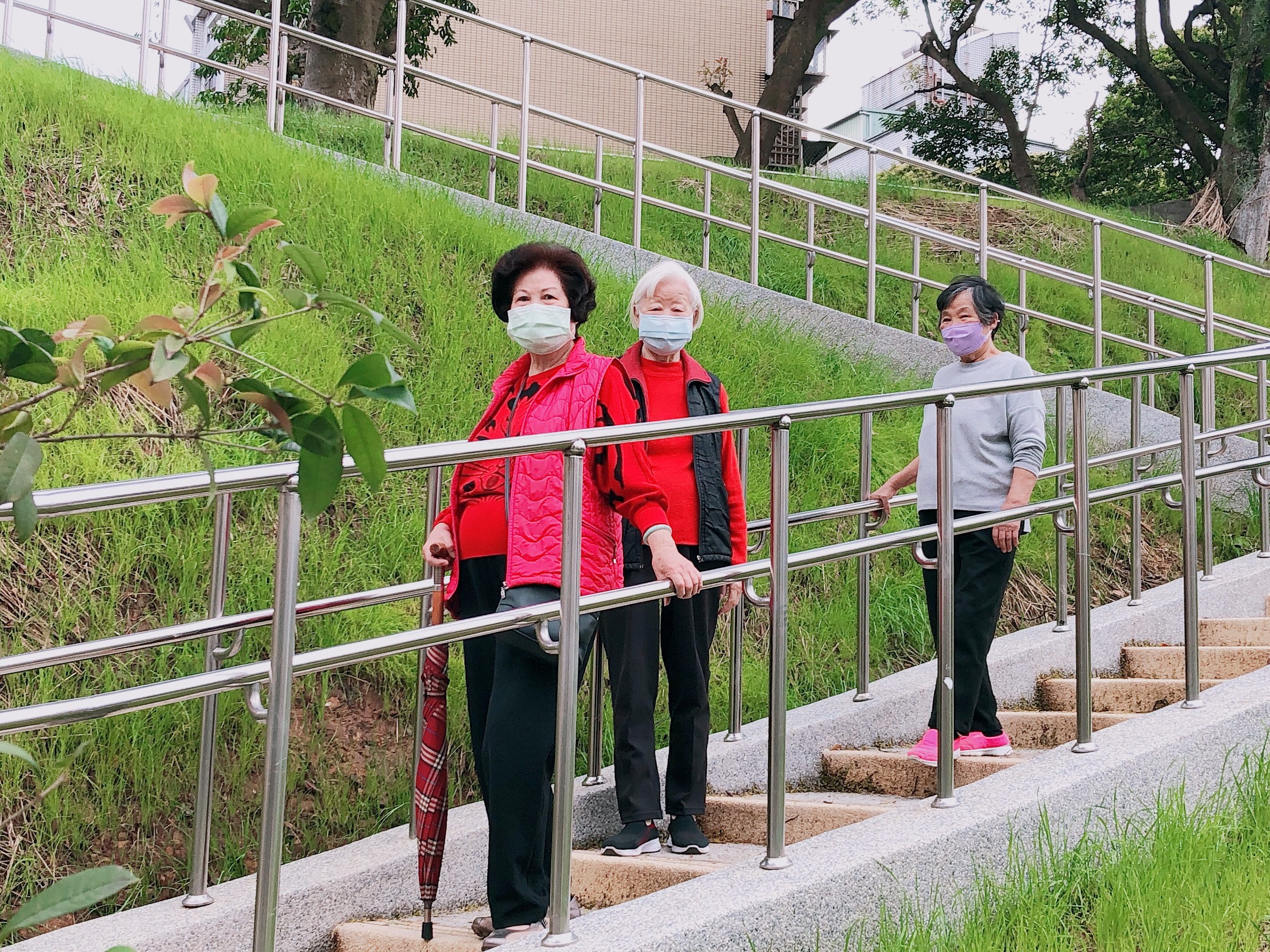 漫步小山坡