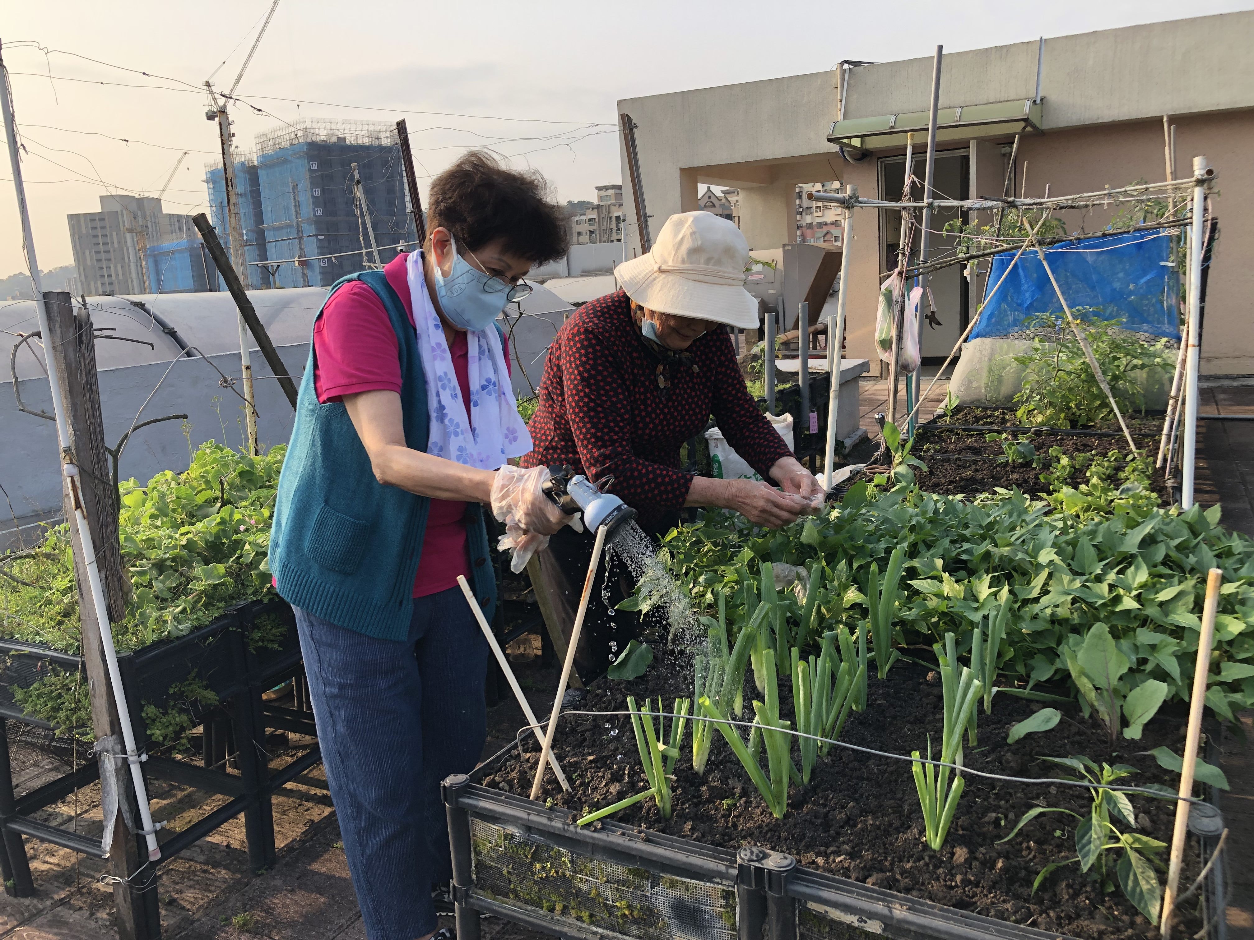 互助共耕共享田園樂