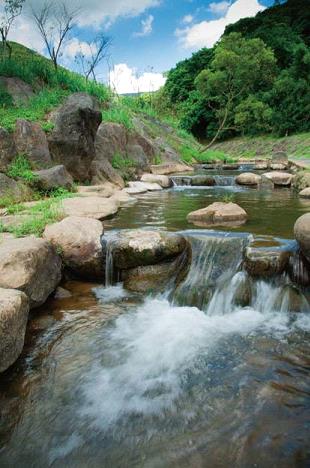 生態工法整治河道