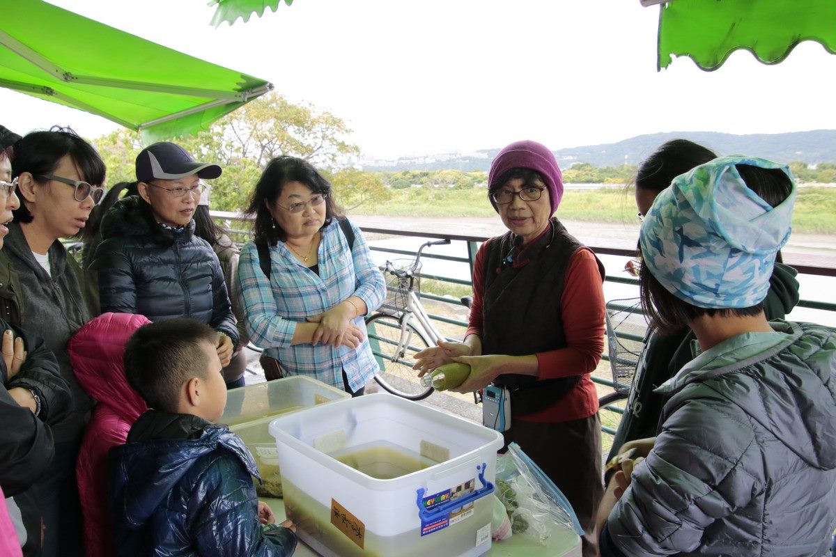 社子島濕地環境教育實況