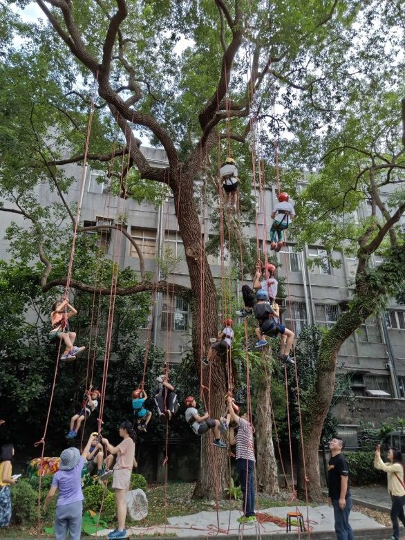 親子攀樹課程