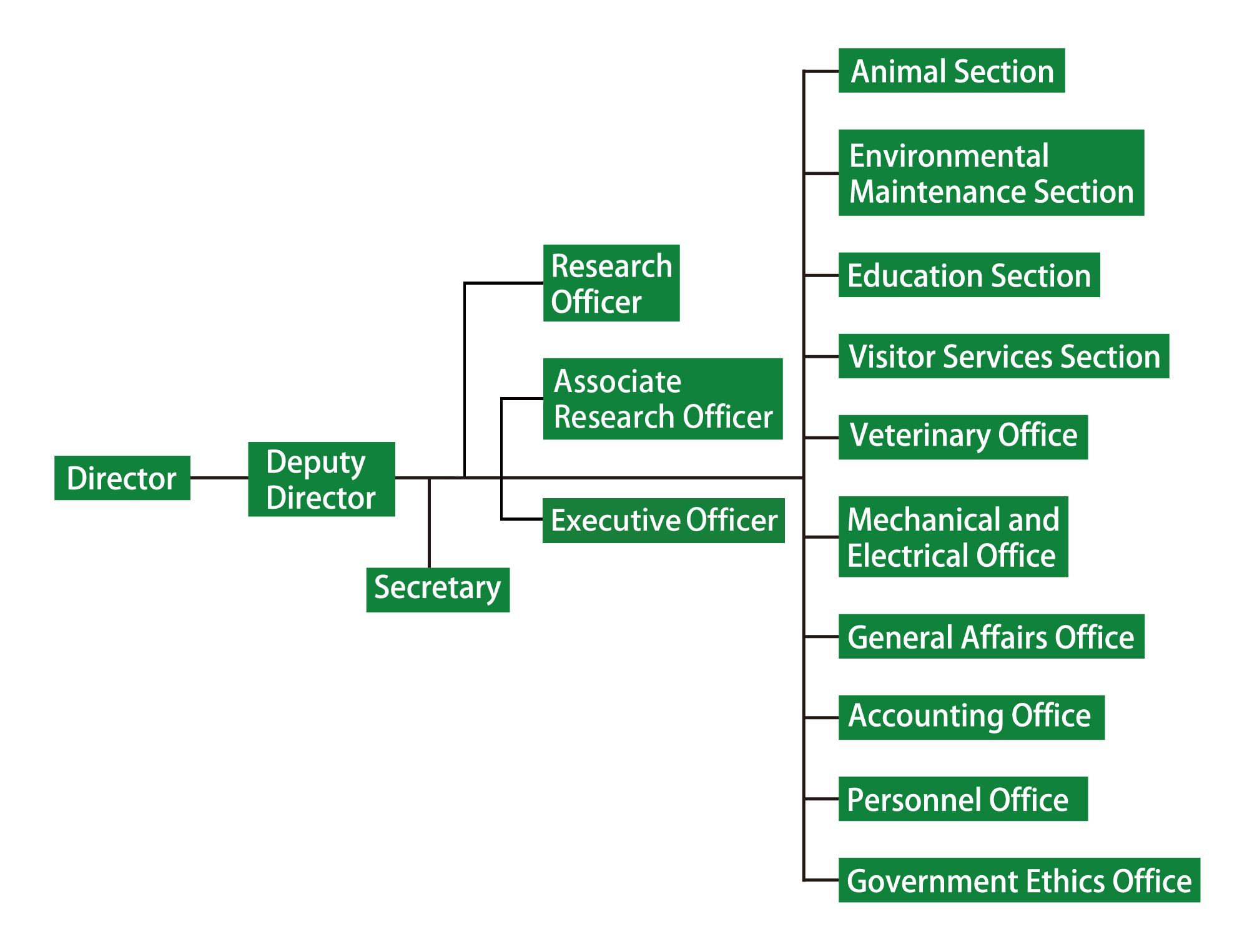 Taipei Zoo Organizational Structure