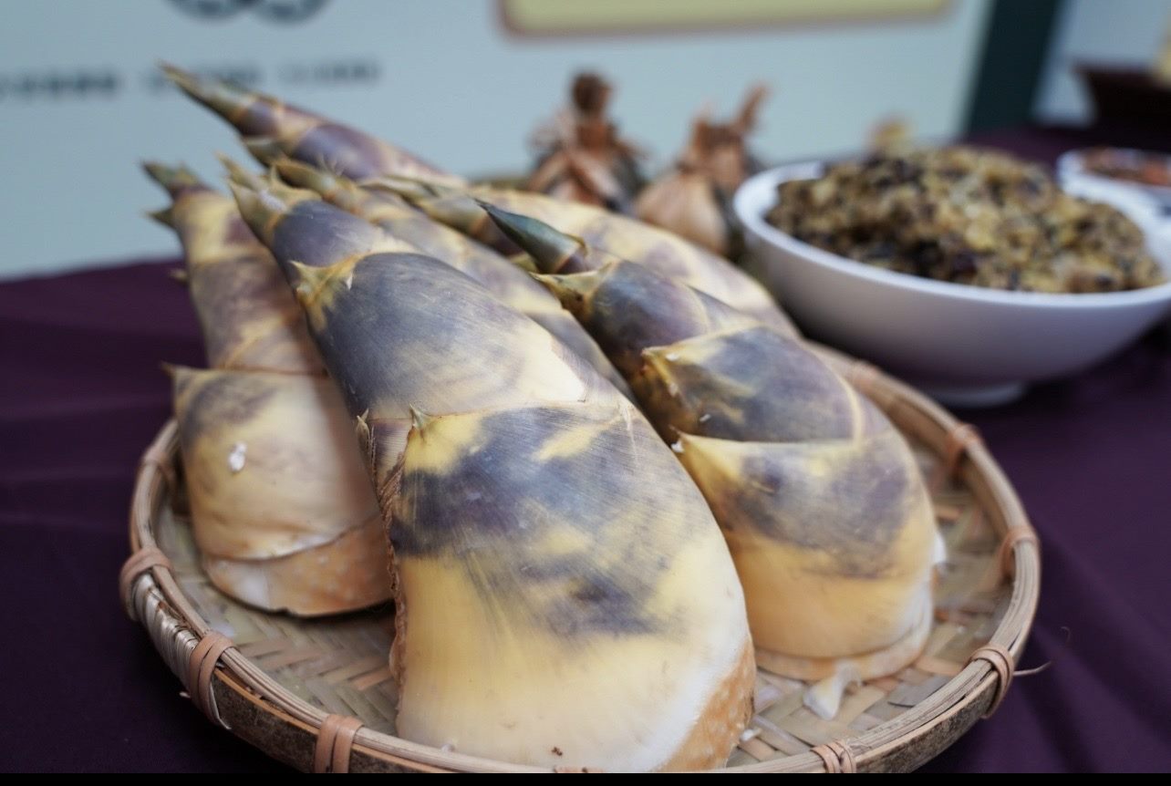 圖3.臺北綠竹筍