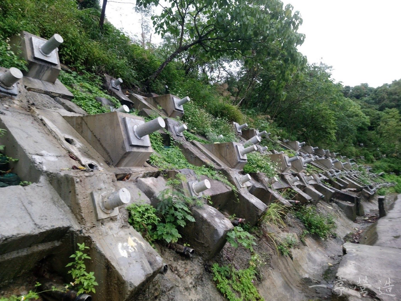 信義快速道路文山隧道南口邊坡整治後情形