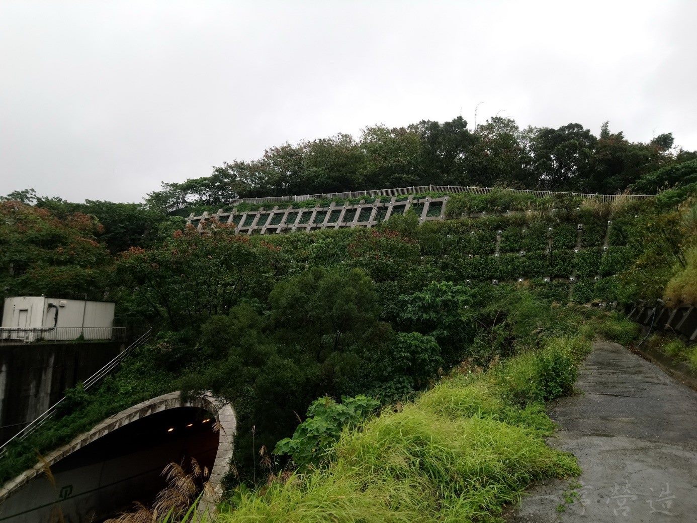 信義快速道路象山隧道北口邊坡整治後情形