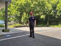林志揚與楓香樹