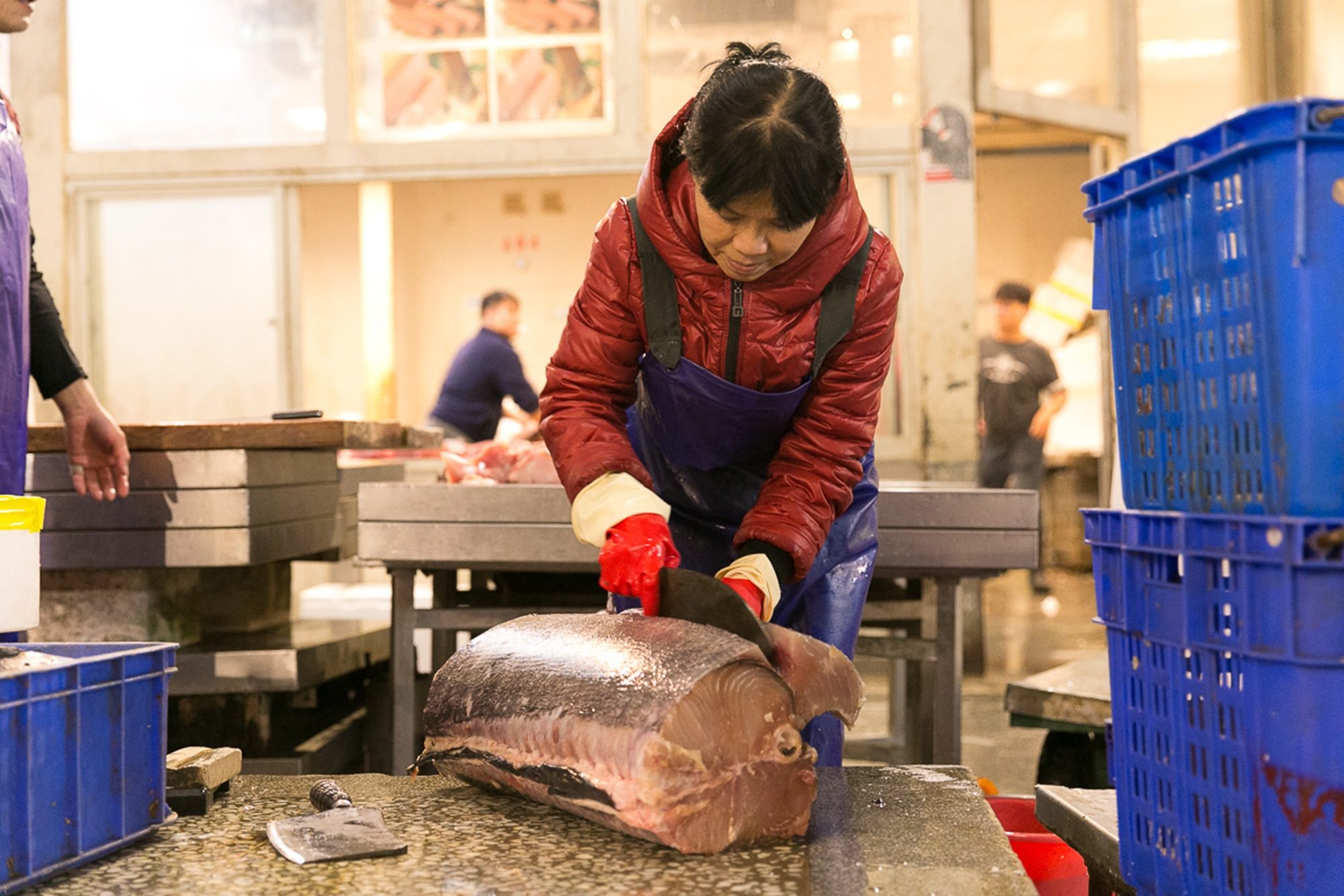 台北魚類批發市場未來將開發市場導覽行程，增加例如日本築地市場的魚類解剖秀，讓市場與消費者更加親近。