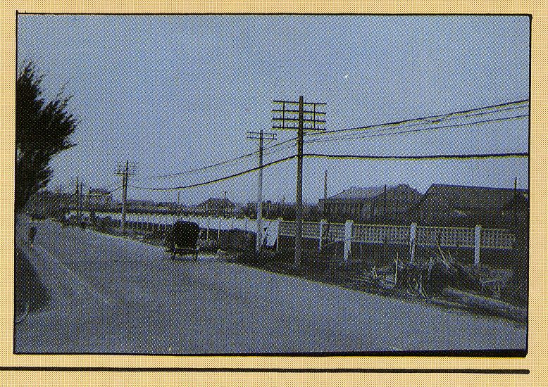 新生南路(1950年代)
