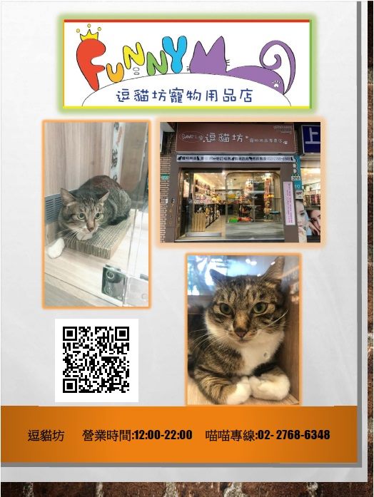 逗貓坊