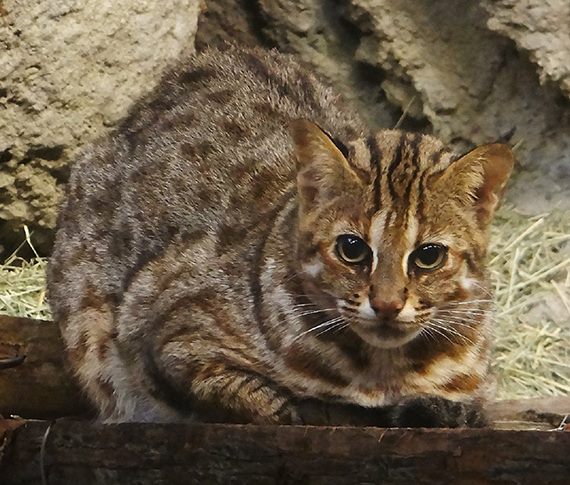 動物園節能技巧不藏私~「酷cool節能屋」省電省水救地球