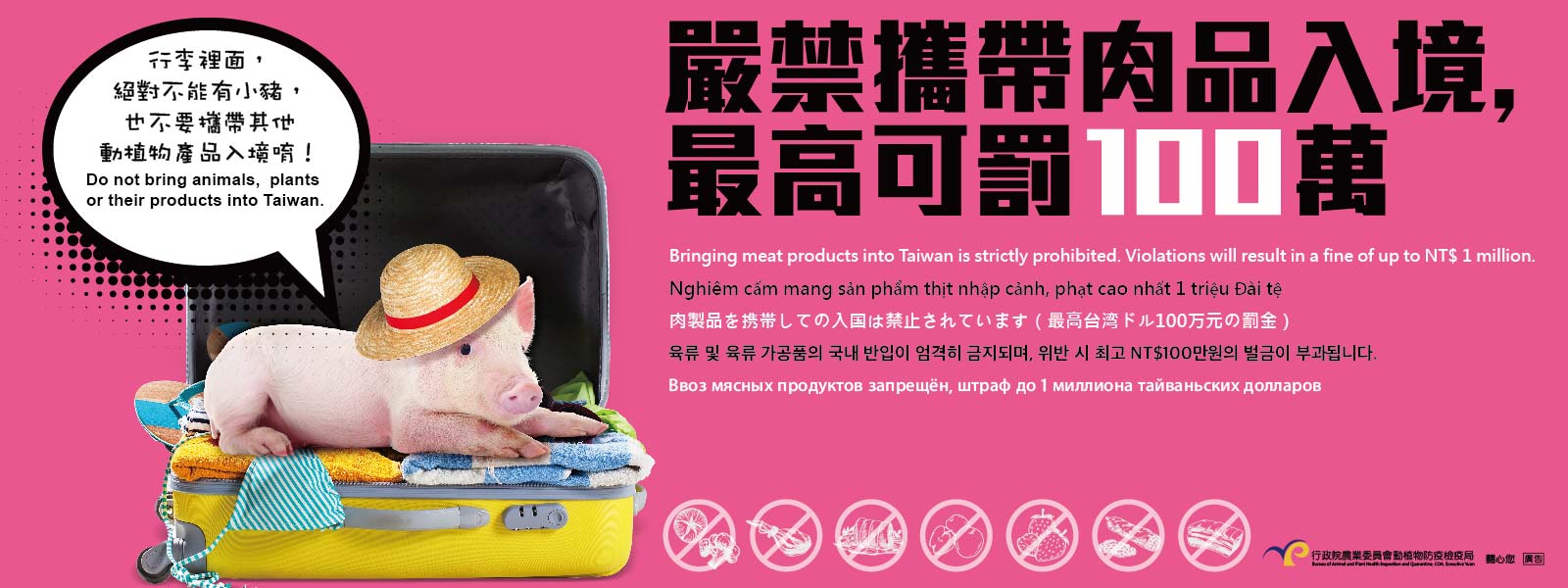 非洲豬瘟
