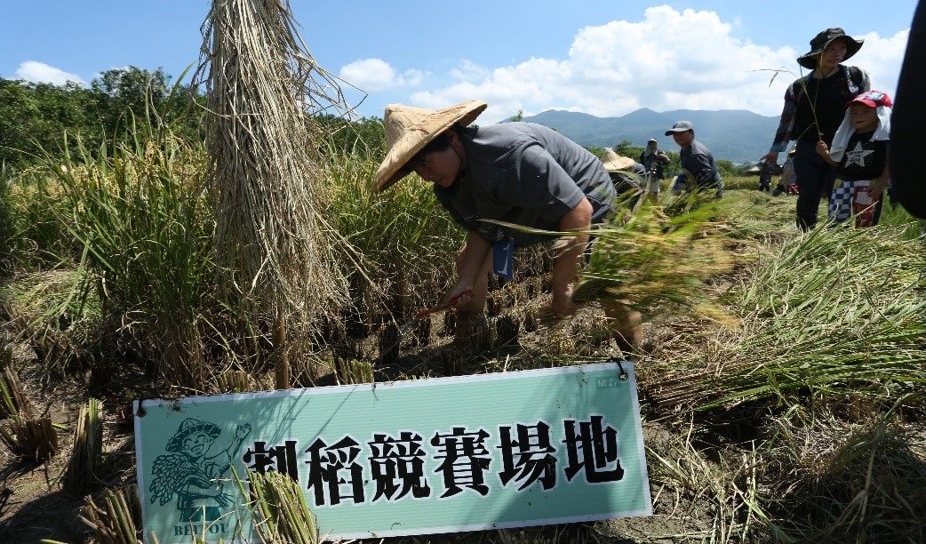 2019年割稻季活動