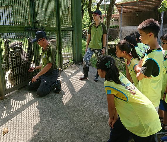 從小甲蟲到高大長頸鹿-動物園暑期營隊等你來