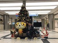 隊員 紀明育與聖誕樹