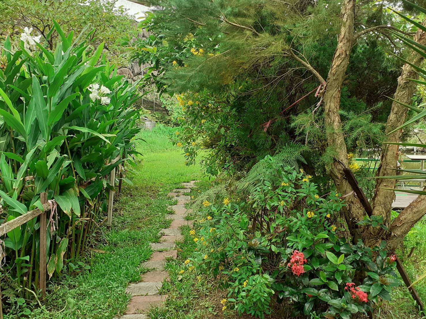 野薑花園小徑