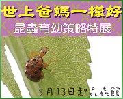 世上爸媽一樣好 － 昆蟲育幼策略特展