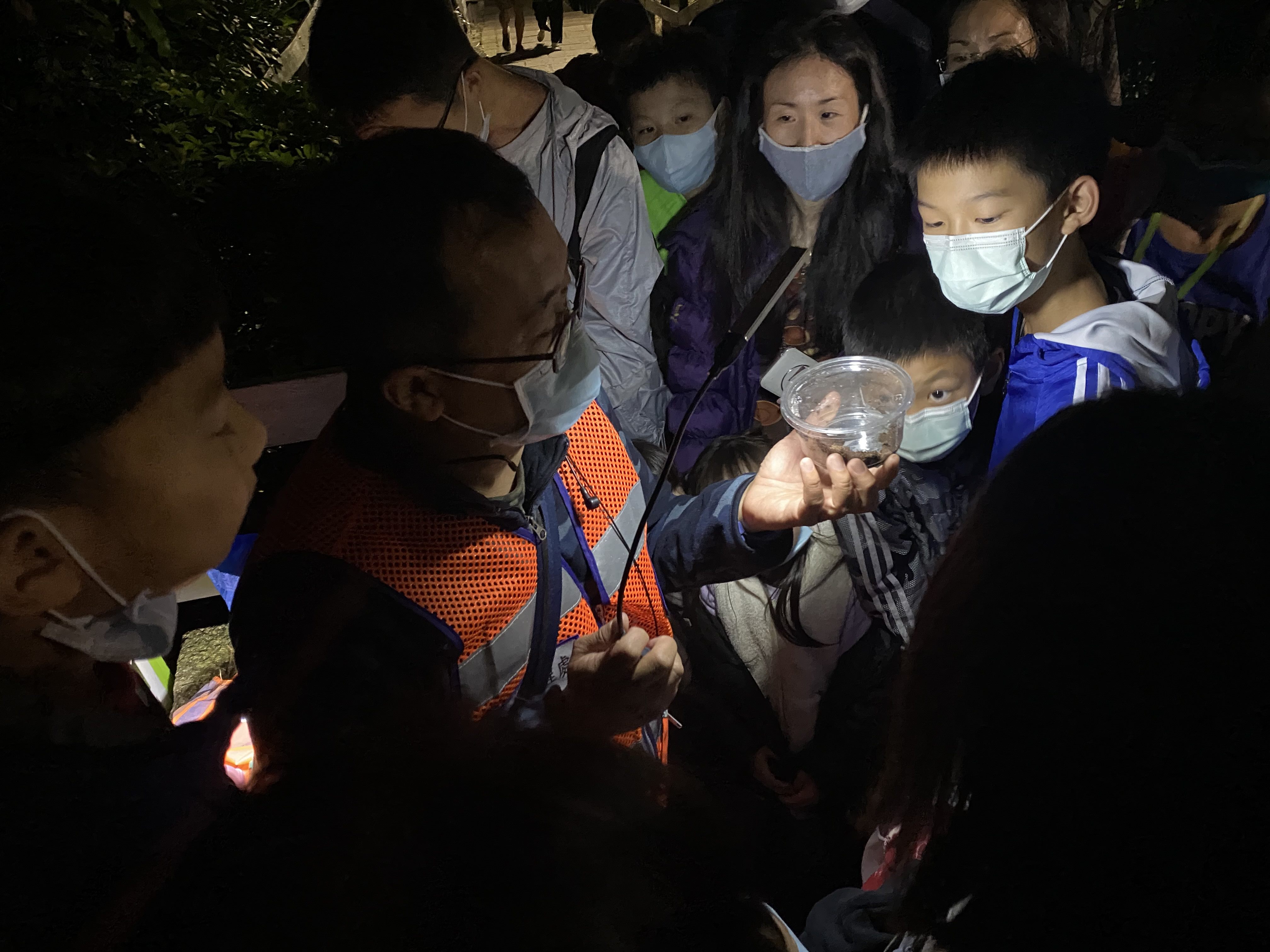 Participants listening to the guide explain firefly ecology
