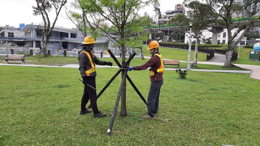PSLO workers check support stakes for a park tree.