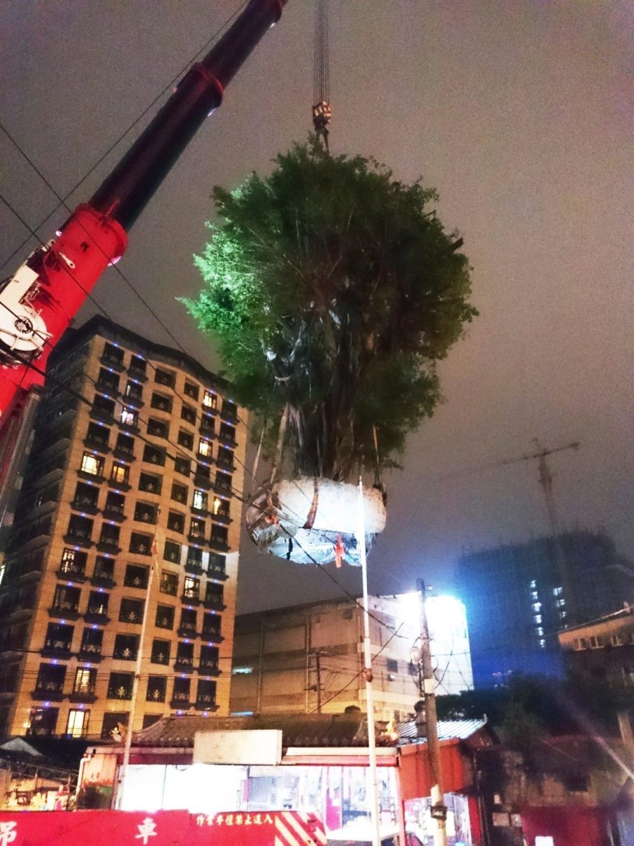 By using an all-terrain crane, Treegarden Corp