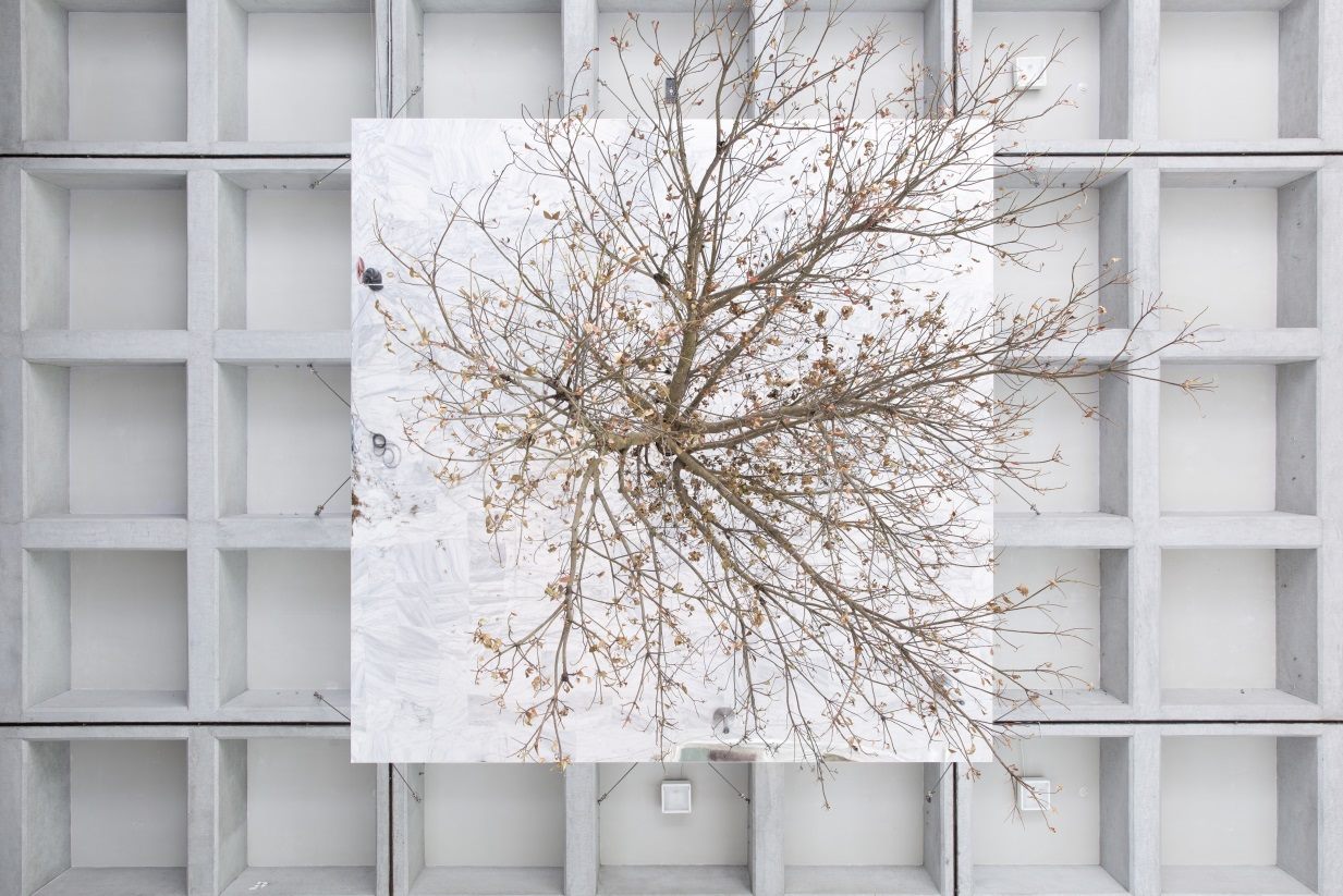 Inverted Tree (Reflected)